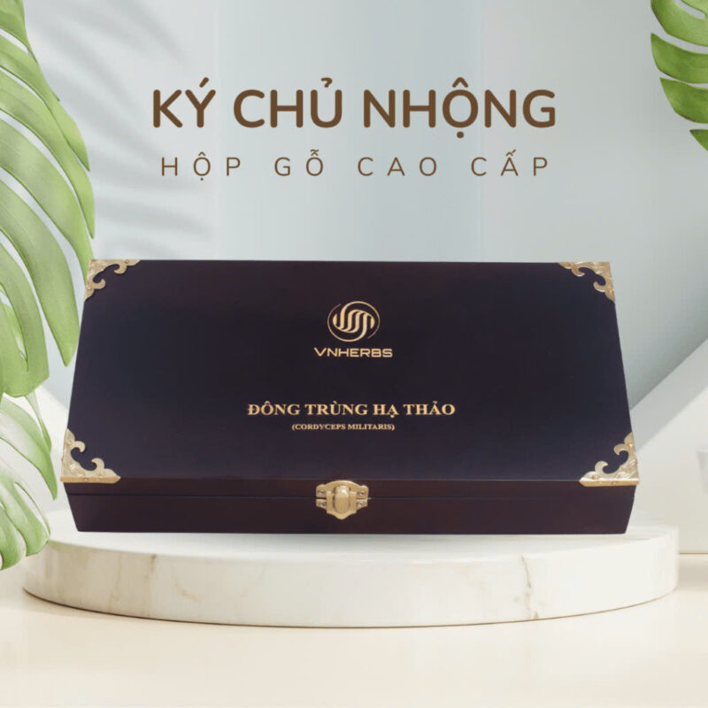 Đông Trùng Hạ Thảo Ký Chủ Nhộng hộp gỗ 80 con z5939359097176 dc633a0e96307ff50420d7c8005d56e5