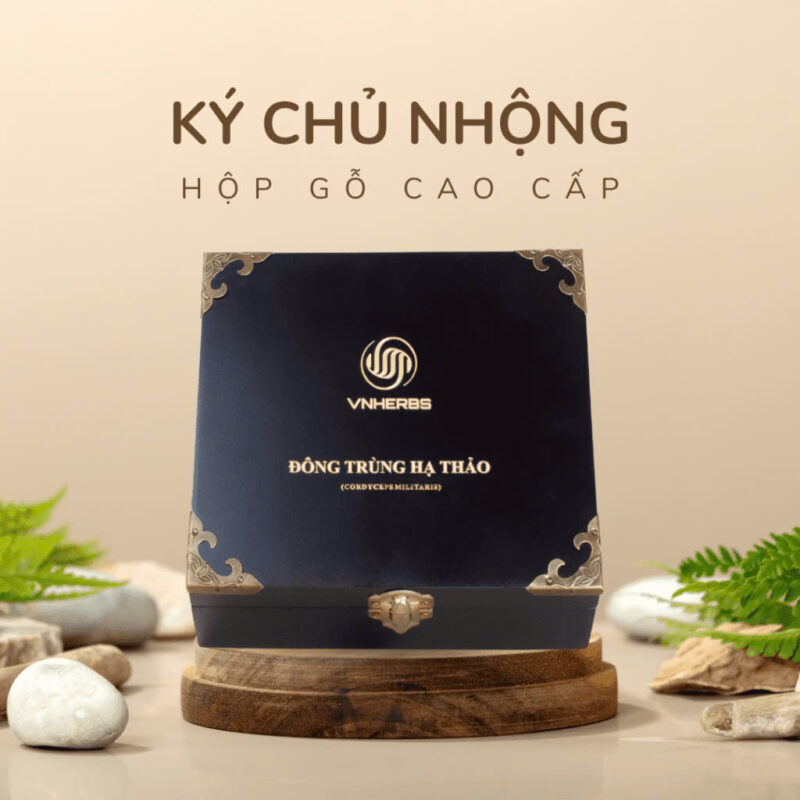 Đông Trùng Hạ Thảo Ký Chủ Nhộng hộp gỗ 40 con z5939359198221 dec2254fe51179f388aca533f02899e6