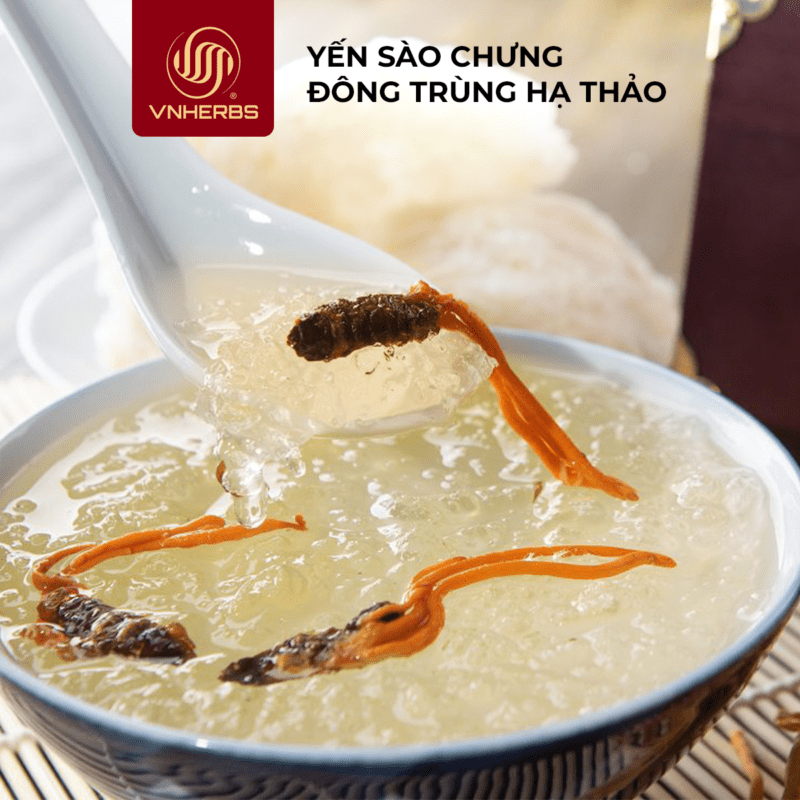 yến chưng đông trùng hạ thảo