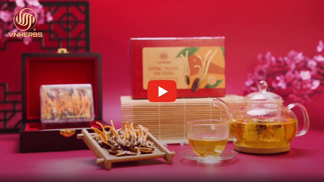Video quy trình sản xuất Đông trùng hạ thảo