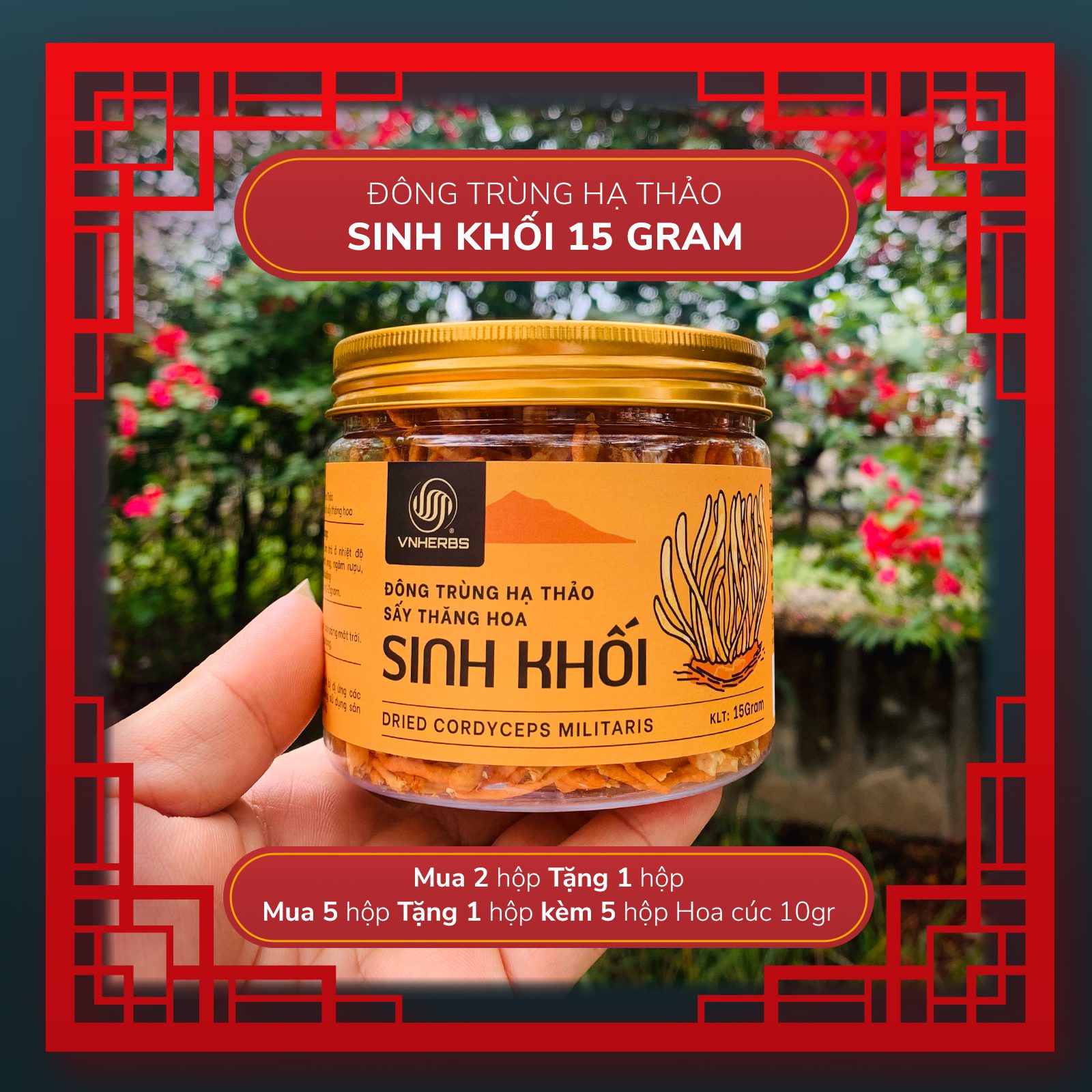 Đông Trùng Hạ Thảo Sinh khối khô
