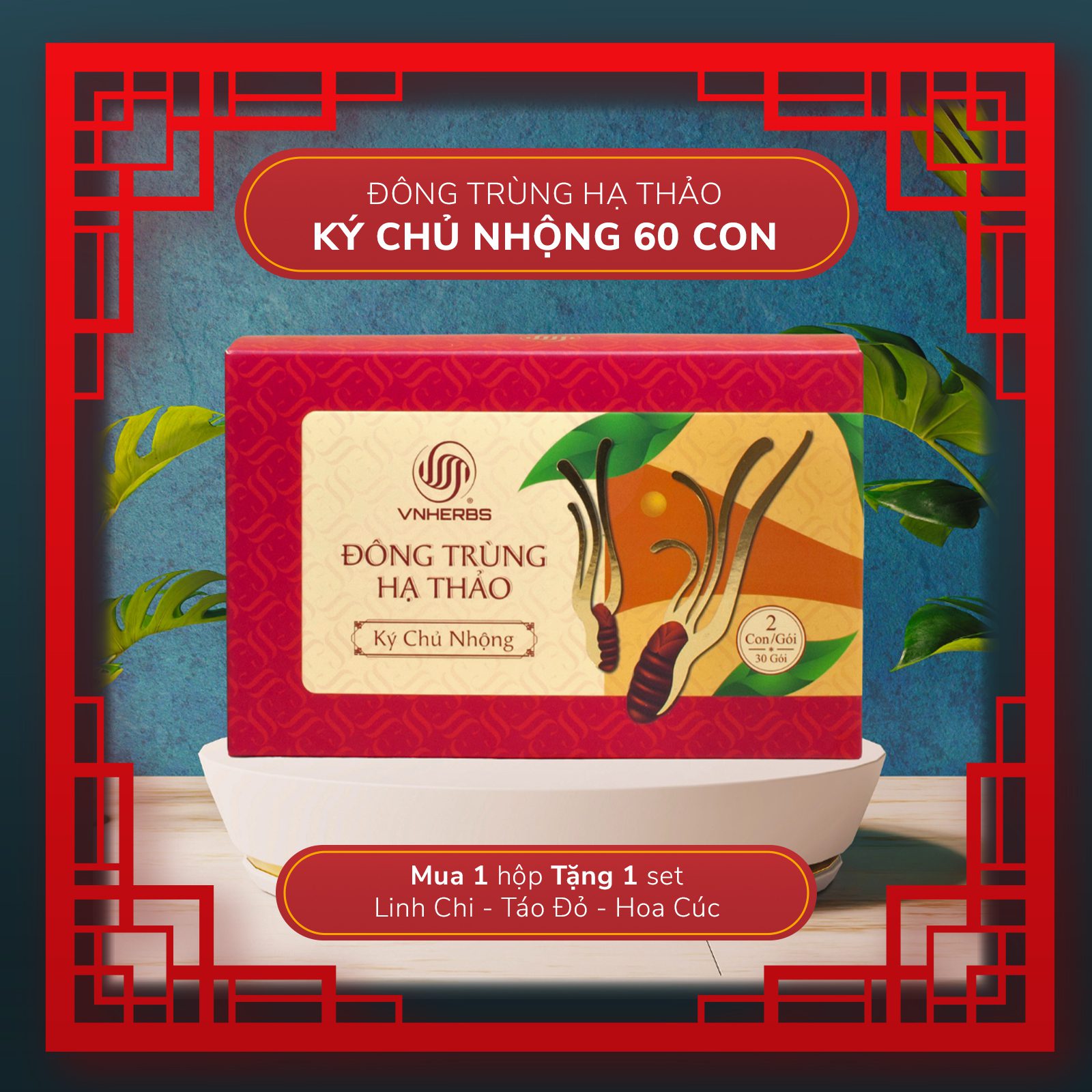 Đông Trùng Hạ Thảo Ký Chủ Nhộng