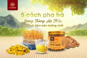 Trà Đông Trùng Hạ Thảo là gì? Sử dụng trà đông trùng hạ thảo có công dụng gì? Hãy cùng VNHerbs tìm hiểu ngay trong bài viết này nhé!