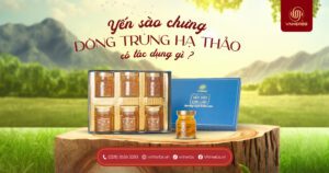 yến chưng đông trùng hạ thảo có tác dụng gì