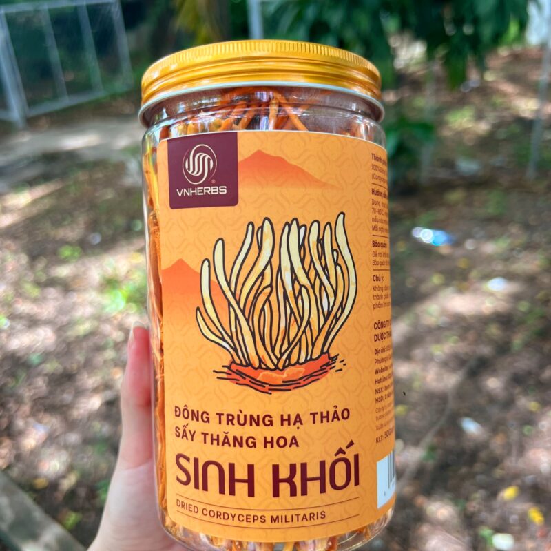 Đông Trùng Hạ Thảo sấy thăng hoa - Sinh khối 50 gram z5553697465187 4ce1744be34aaf5dfa1177f3c37b9324