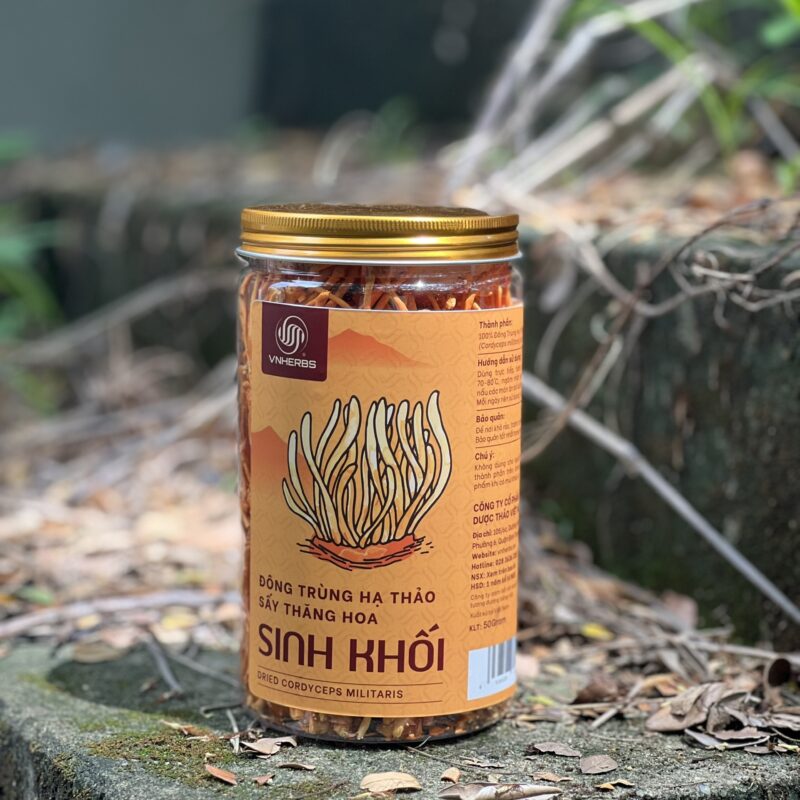 Đông Trùng Hạ Thảo sấy thăng hoa - Sinh khối 50 gram z5556021908412 be810d07e439fd44d71c02adfff7440f